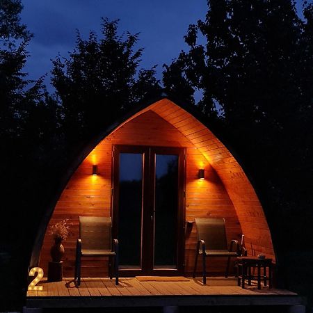 Casute In Mijlocul Naturii - Wild Camp Avrig Dış mekan fotoğraf