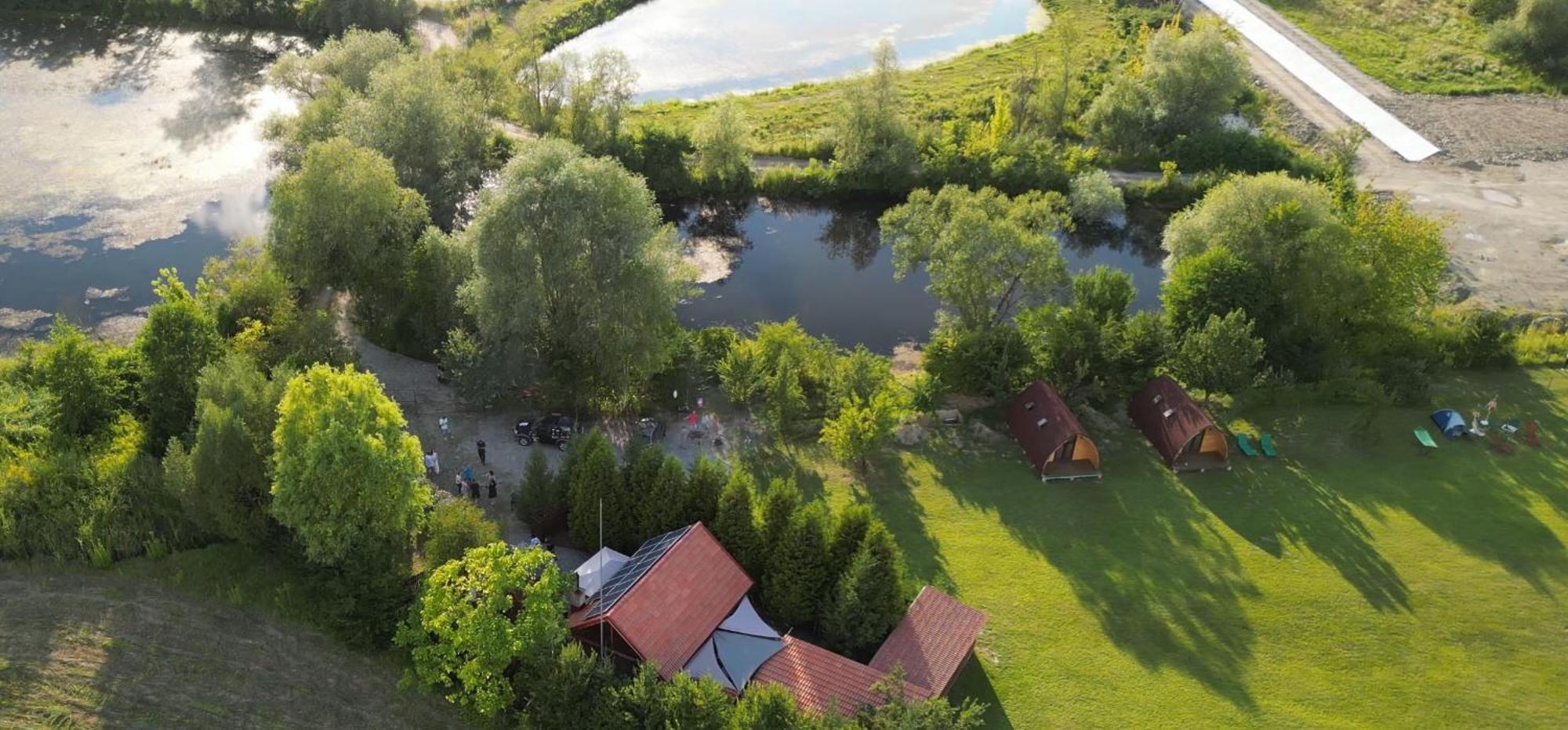 Casute In Mijlocul Naturii - Wild Camp Avrig Dış mekan fotoğraf