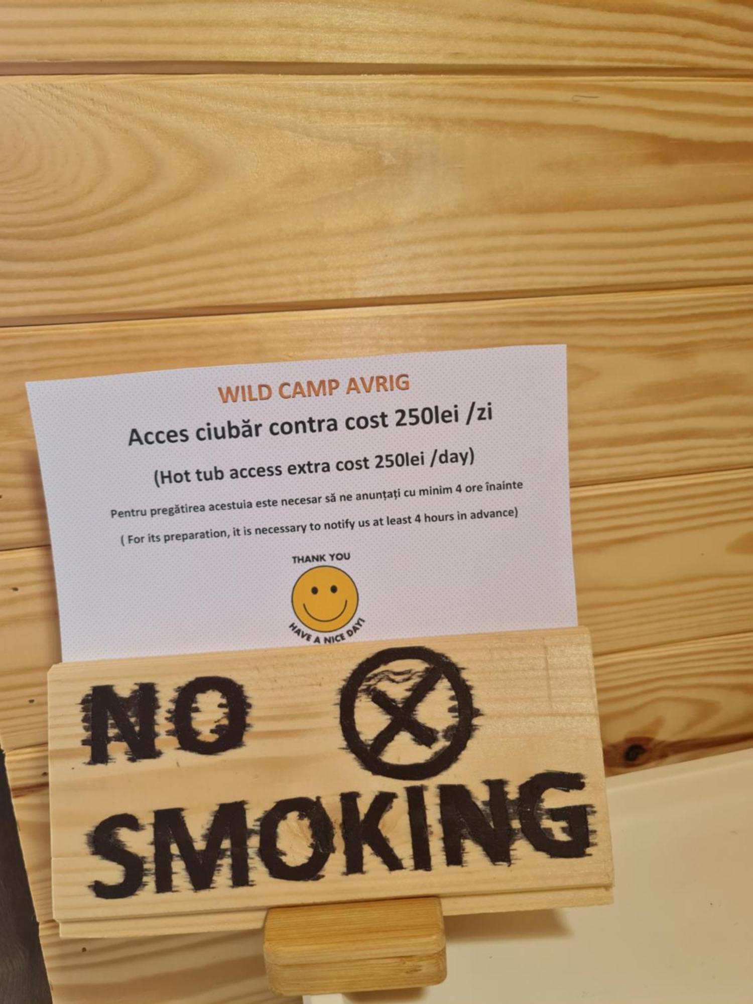 Casute In Mijlocul Naturii - Wild Camp Avrig Dış mekan fotoğraf