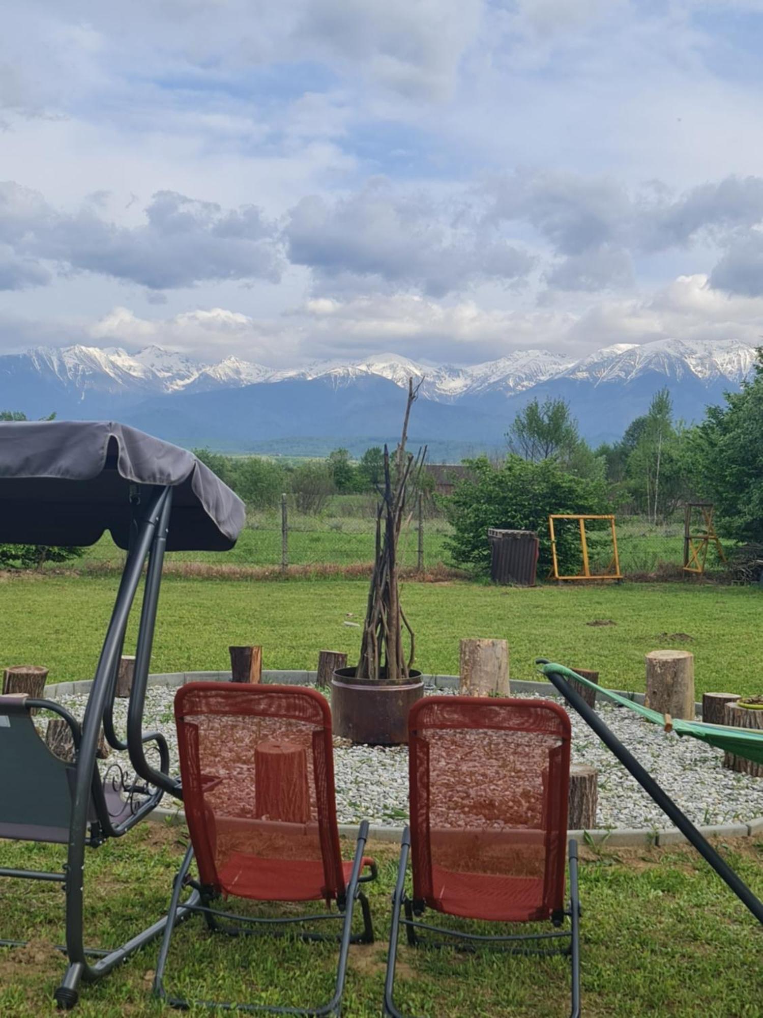 Casute In Mijlocul Naturii - Wild Camp Avrig Dış mekan fotoğraf